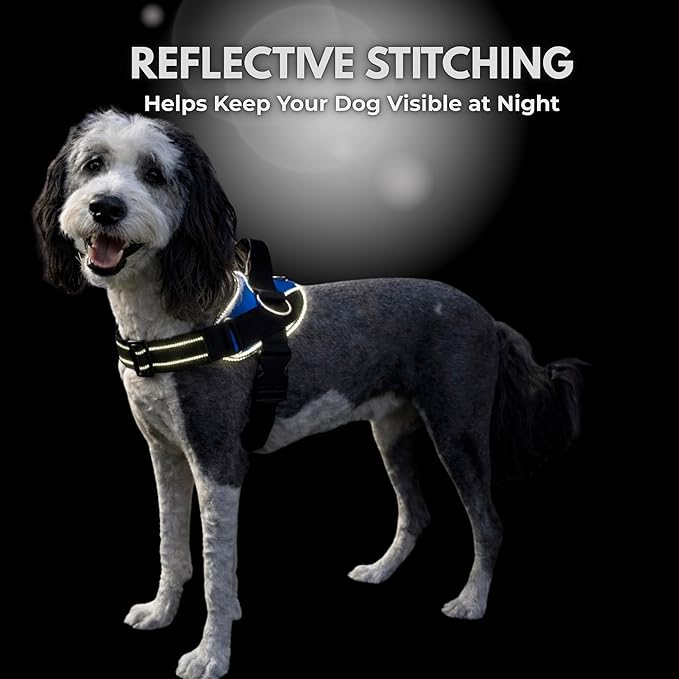ShawnCo Essential Dog Harness, No-Pull Pet Vest with 3 Leash Clips, No Choke, Reflective, Adjustable and Padded, for Easy Walking and Training for Small, Medium and Large Dogs (White Sharks, M)