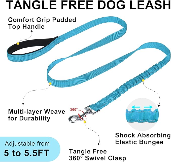 BEAUTYZOO Dog Harness for Small Dogs, No Pull Dog Harness and Leash Set, Soft Escape Proof Puppy Vest Harness with Handle, Reflective Lightweight Step in Harness for Girl Boy Dogs, Blue M