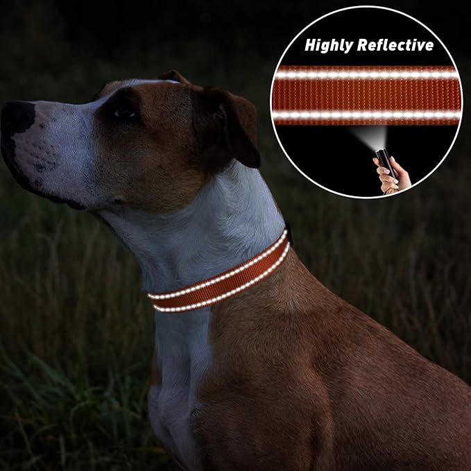 TagME Reflective Nylon Dog Collars, Adjustable Classic Pet Collar with Quick Release Buckle for Small Dogs, Orange, 3/4" Width