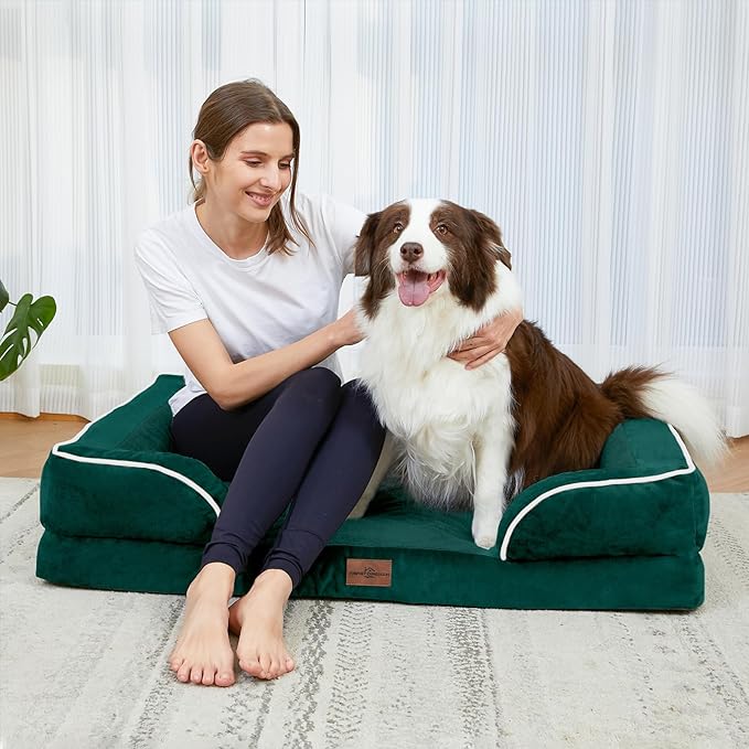 Comfort Expression Orthopedic Dog Bed for Medium Dogs 28x19 Inch, Waterproof Supportive Egg Crate Foam Medium Pet Bed with Removable Bolsters, Dog Couch with Washable Cover & Non-Slip Bottom, Emerald