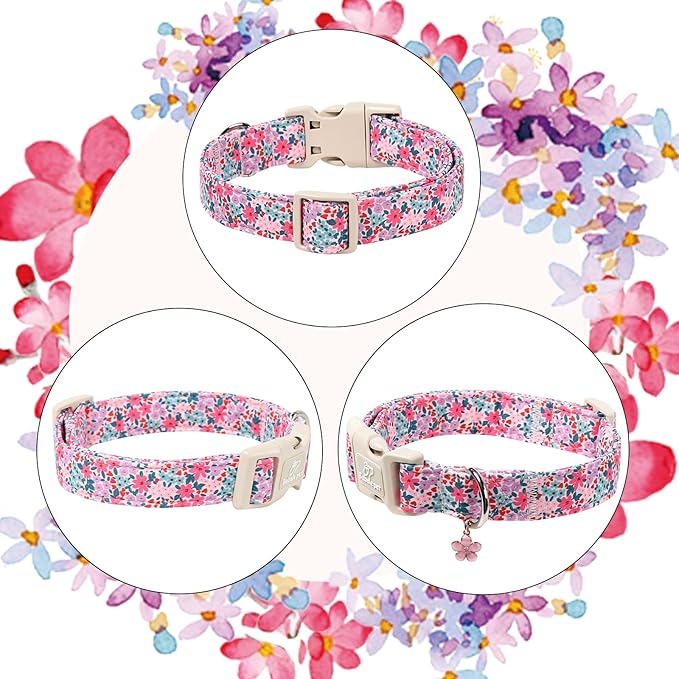 Floral Dog Collar, Cute Girl Dog Collars - Pastel Wildflowers Pattern Spring Summer Puppy Collar, Adjustable Female Dog Collars for Small Medium Large Dogs XS