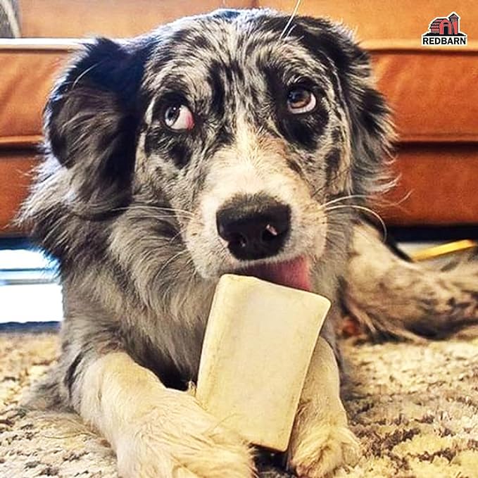 Redbarn Pet Products Small Filled Dog Bones, Peanut Butter Flavor - Long Lasting Stuffed Femur Chew Treat Made in USA for Aggressive Chewers - Case of 20 Bones