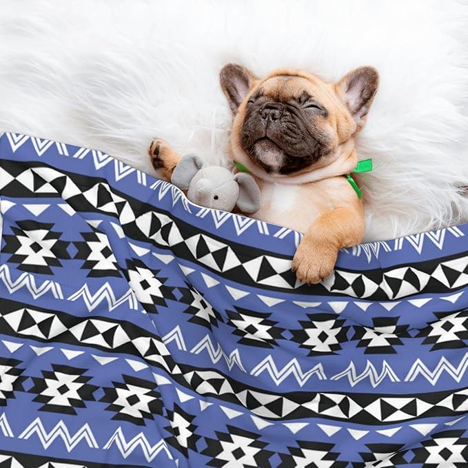 Reversible Plush Dot Pet Blanket for Dogs and Cats, Tribal Ethnic Aztec Native American Decor, Ultra Soft Two Sided Design with Warm Fuzzy Side and Smooth Side for Comfort