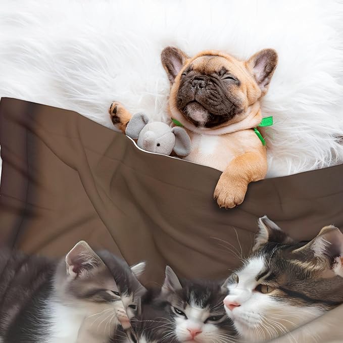 Waterproof Dog Blanket Soft Pet Blanket for Puppy, Fleece Cat Throw Blankets for Furniture Bed Couch Sofa Reversible - Cat Family