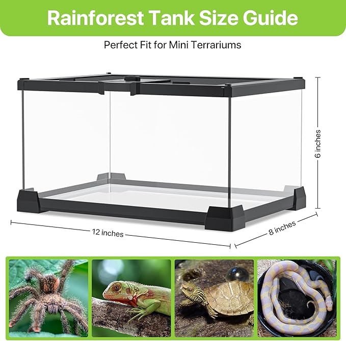 Reptile Terrariums Mini Glass Tank 12" x 8" x 6" Habitat, Top-Opening Mesh Lid with Latch, 360° Clear View, Ventilated Enclosure for Jumping Spiders, Tarantulas, Isopods & Froglets