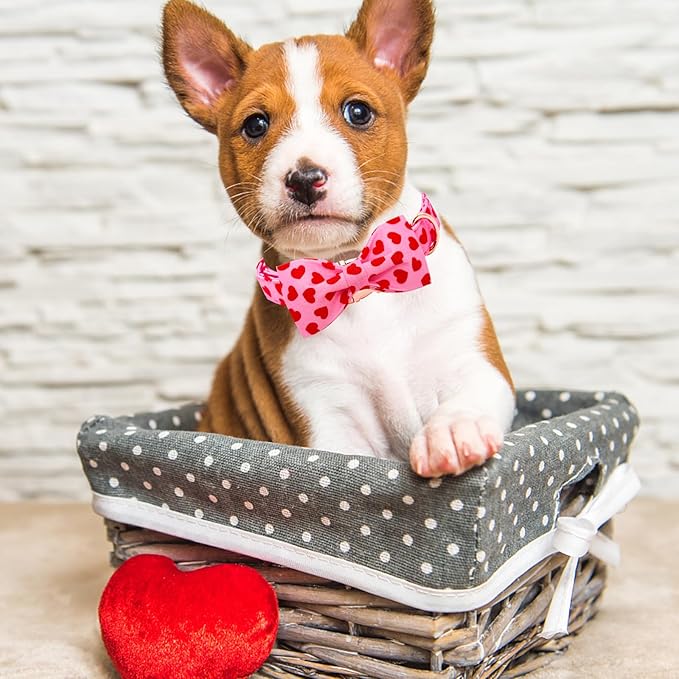 Lionheart Glory Valentine's Day Dog Collar with Bowtie for X-Small Dogs