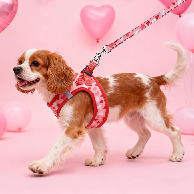 SCENEREAL Valentines Dog Harness Collar and Leash Set, Step in No Pull Soft Mesh Pet Harnesses for Small Medium Dogs Puppy Cats, No Chock Reflective Vest Harness