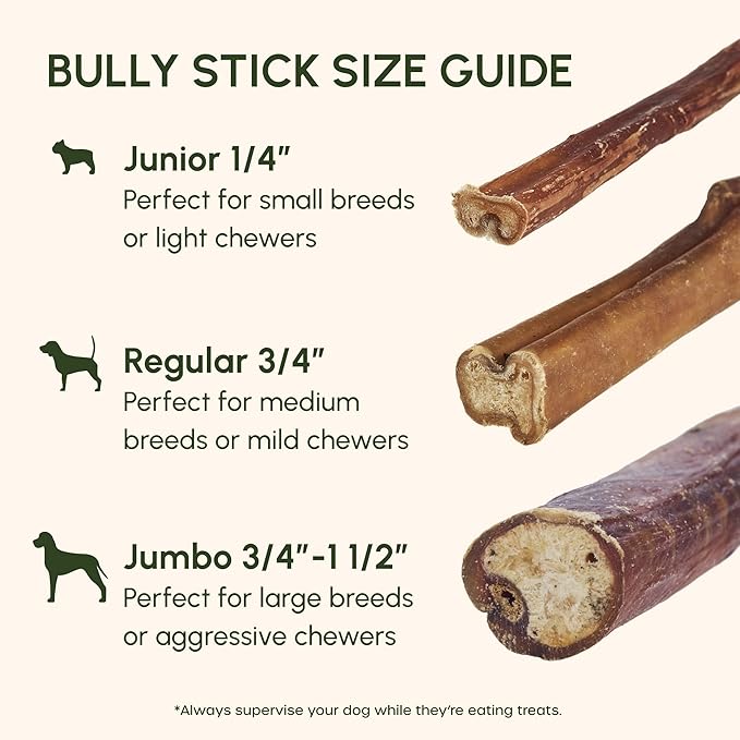 Downtown Pet Supply USA Sourced Bully Sticks for Dogs - Grass-fed Beef Chews, Low-Odor & Rawhide-Free, Long Lasting Dog Treats - Healthy, Safe & Delicious Chews (12" 30 Pack)