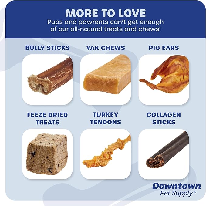Downtown Pet Supply USA Sourced Bully Sticks for Dogs - Grass-fed Beef Chews, Low-Odor & Rawhide-Free, Long Lasting Dog Treats - Healthy, Safe & Delicious Chews (6" 10 Pack)