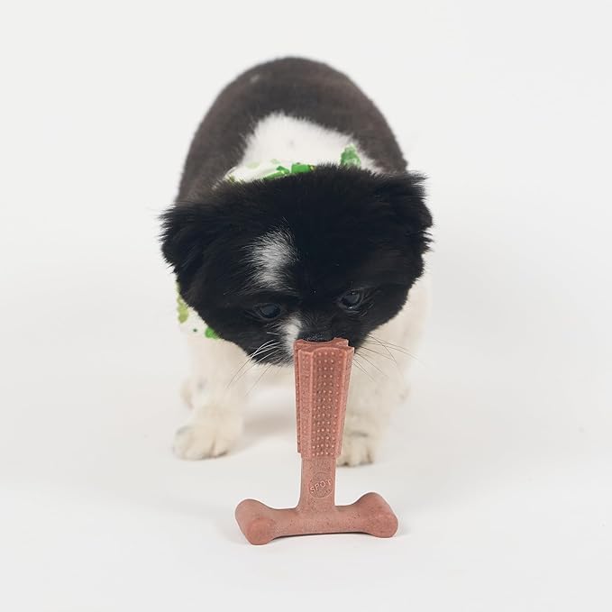 SPOT Bam-Bones Plus T Bone – Bamboo Fiber & Nylon Dog Chew Toy for Moderate to Aggressive Chewers, Durable & Non-Splintering, Long Lasting Beef Flavor Toy for Dogs & Puppies Under 30 lbs, 4 in