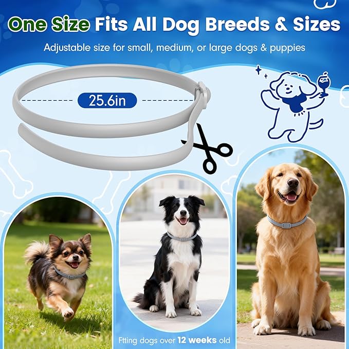 Flea and Tick Collar for Dogs, 4 Packs Flea Collar for Dogs with Natural Essential Oils, Waterproof & Adjustable Flea and Tick Prevention Collar for Small Medium Large Dogs & Puppies, Grey