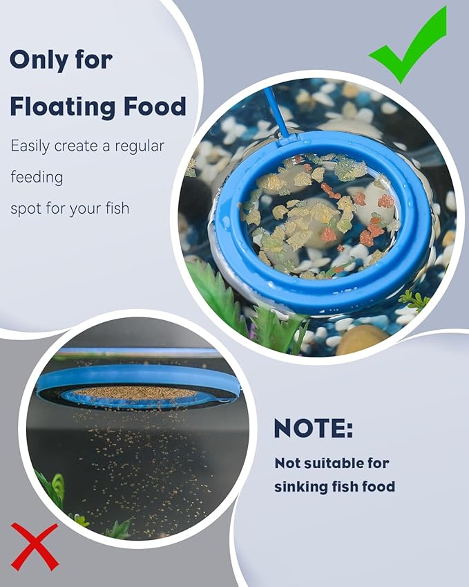 Pawfly Fish Feeding Ring for Fish Tank Aquarium Feeding Ring with Suction Cup Square Floating Food Feeder Small Feeder Circle for Betta Goldfish Guppy & Turtle