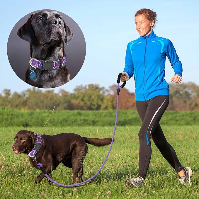 Reflective Dog Collar Padded with Soft Neoprene Breathable Adjustable Nylon Dog Collars for Small Medium Large Dogs (Medium (Pack of 1), Purple/Pink Floral Collar+Leash)