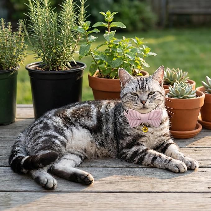 THAIN Cat Collar with Bow Tie and Bell, Breakaway Adjustable Cute Soft Corduroy Kitten Collars Safety Buckle for Girl Cats(Solid Pink)