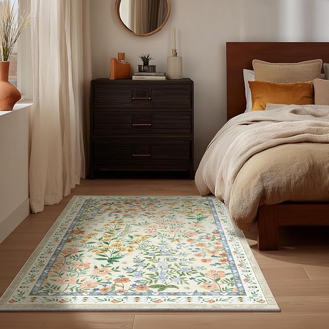 Machine Washable Area Rugs for Entryway: Door Mat Indoor Entrance 2x3 Small