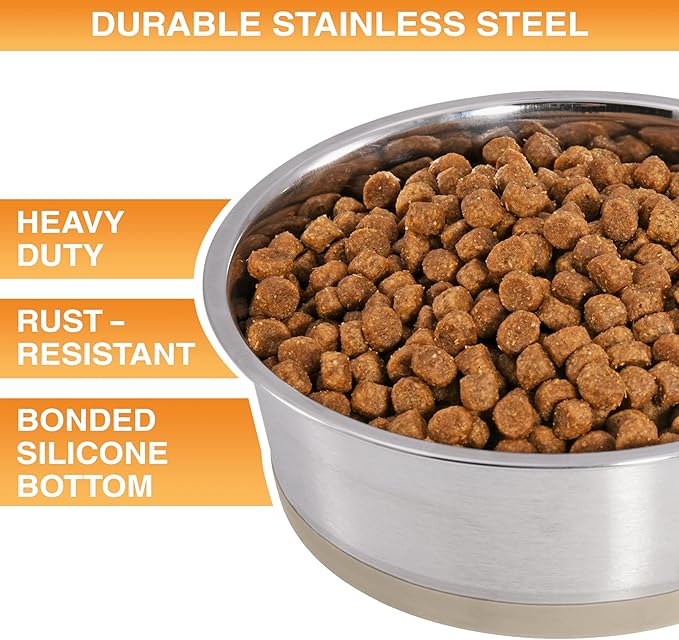 Neater Pet Brands Stainless Steel Dog Bowls with Non-Slip Rubber Bottom – 2 Cup (16 oz), Tan - Set of 2 Heavy Duty Metal Dog Bowls, Dishwasher Safe, Food or Water Bowl, Ideal for Small Dogs & Cats