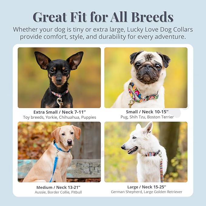 Lucky Love Dog Collars | Girl, boy Dog Collar for Small Medium Large Dogs - Comfortable, Soft, Cute - Laguna, Medium