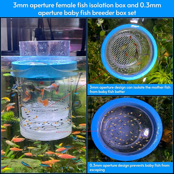Fish Breeder Box for Fishes Tank Isolation Aquarium Separator Hatchery Incubator for Guppy Baby Betta Saltwater Clownfish Coral Aggressive or Injured Fish (Large Two-Piece Set)