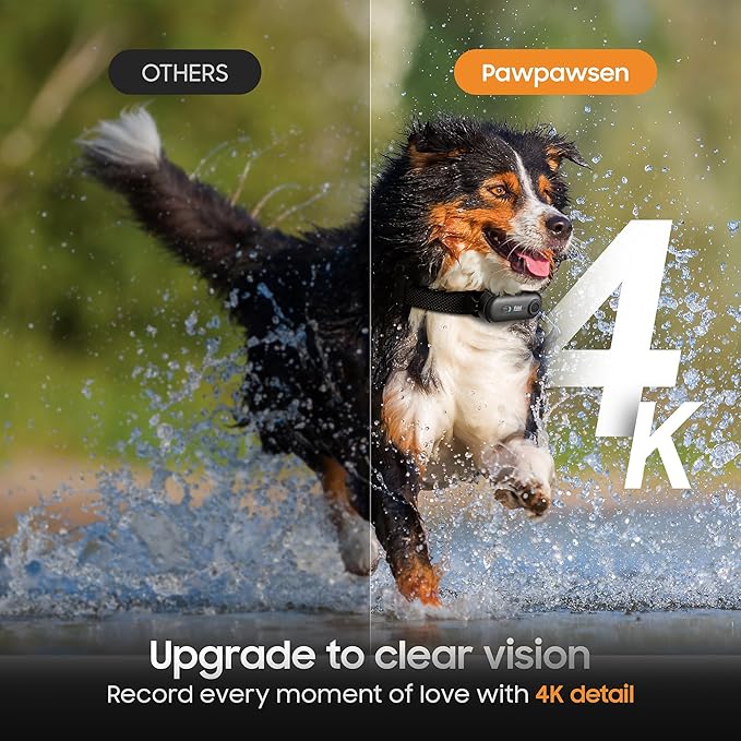 4K UHD Cat& Dog Pet Camera Collar, Video Recorder with Phone App Live View, Outdoor & Indoor POV Action Cam for Kitty and Big Cats(Black - Pink Waterproof Collar - S, 128g)