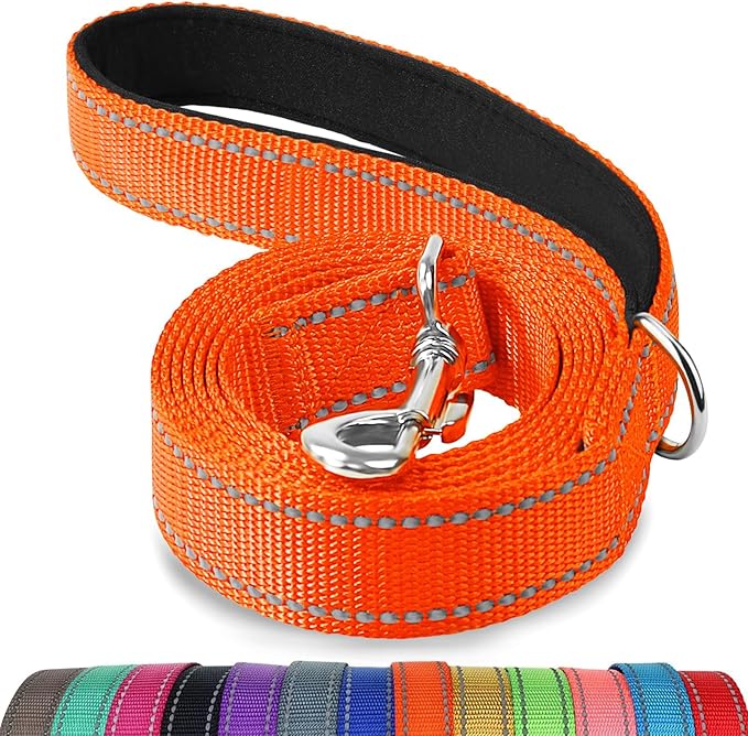 Joytale Dog Leash, 4 FT Double-Sided Reflective, Padded Handle Nylon Heavy Duty Leashes for Small Dogs Walking, Orange
