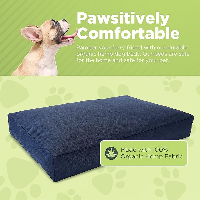 X-Small -24 x 18 x 4 - Cactus Premium Organic Hemp Dog Bed - Organic Latex Fill - Removeable Cover