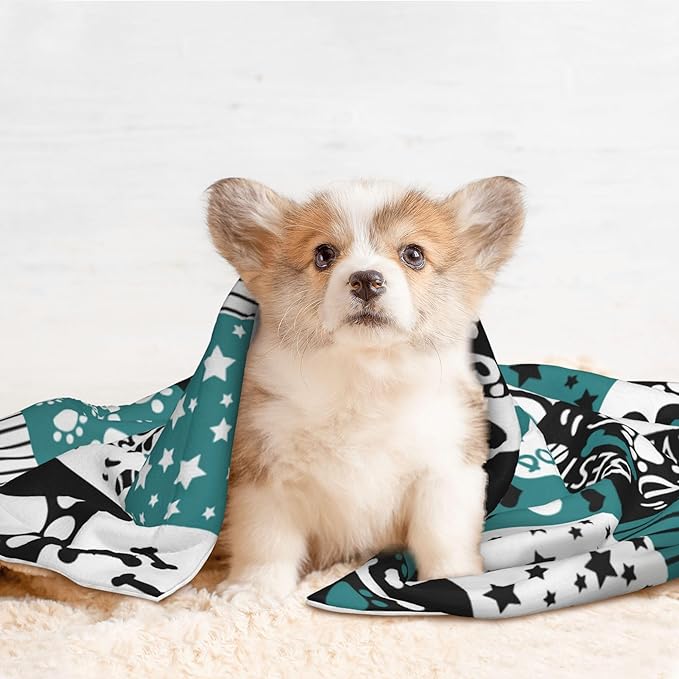 Paws Blanket for Dog Cat - Dog Puppy Blankets 30x20 Stripes Love Bones Throw Blanket for Couch