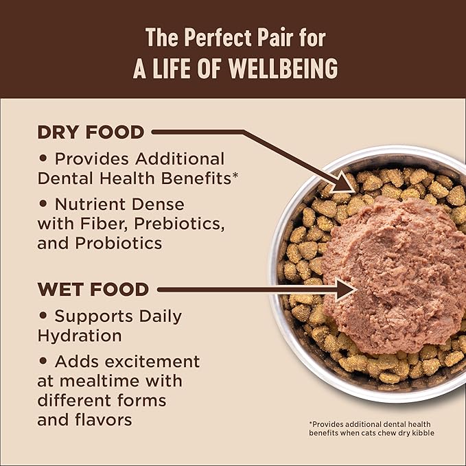 Wellness CORE+ Immune Health Pate Adult Wet Cat Food, Natural, Protein-Rich, Grain Free, 2.8 Ounce, 12 Pack (Chicken & Turkey)