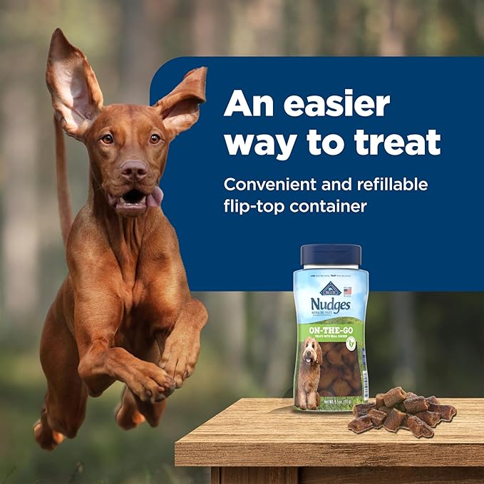 Nudges Blue Buffalo On The Go Dog Treats, Made in The USA with Natural Ingredients, Chicken, 5.5-oz. Bag