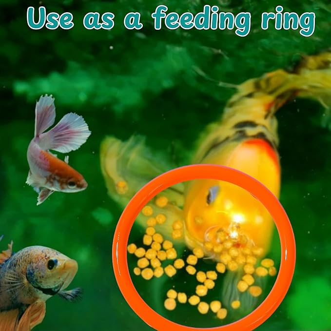 Betta Mirror Enrichment Fish Toys Stimulation, 2 pcs Exercise Feeding Rings And Training Mirror With Floating Ball Toy, Betta Fish Tank Accessories, Small Aquarium Tank Decoration (Orange, M)