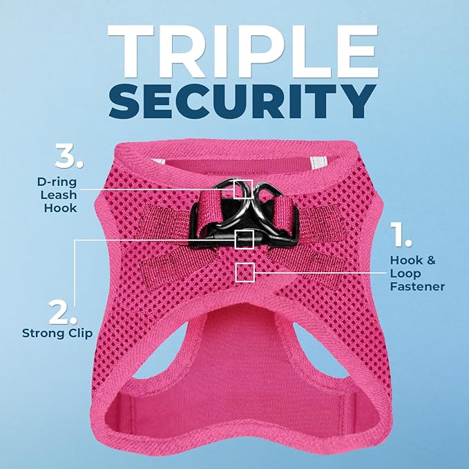 Best Pet Supplies Voyager Step-in Air All Weather Mesh Harness and Reflective Dog 5ft Leash Combo with Neoprene Handle, for Small, Medium and Large Breed Puppies - Set (Fuchsia), Small