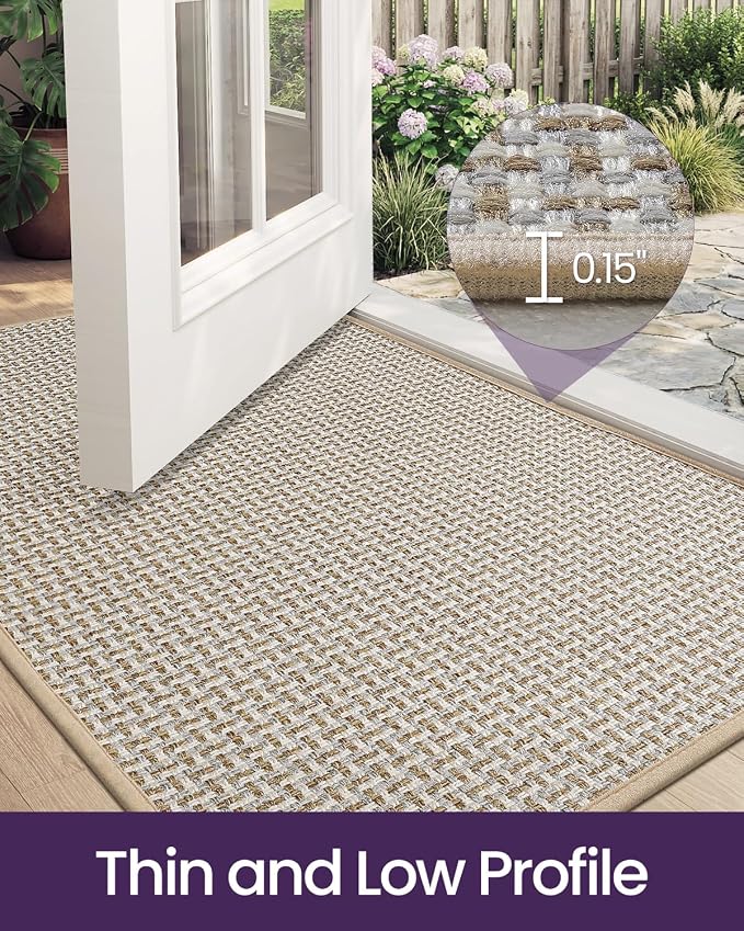 DEXI Ultra Thin Door Mat Indoor Entrance 32x48, Non Slip Rubber Backed Entryway