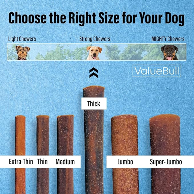 ValueBull Collagen Sticks for Dogs, 12 Inch Thick Chews, Natural Long-Lasting Dog Treats, 100 Count Bulk Pack - Supports Joints, Skin & Coat with Chondroitin & Glucosamine