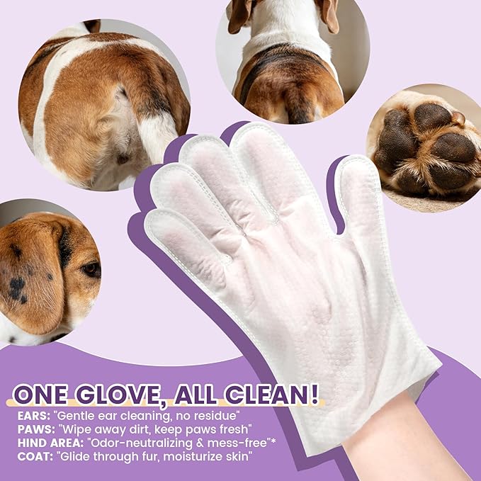 100 Pcs Cleaning Deodorizing Pet Glove Wipes for Dogs & Cats, Hypoallergenic Dog Bath Wipes with Natural Deodorizer Persimmon Tannin, Pet Bathing Wipes for Horse Coat Care Lavender Scent