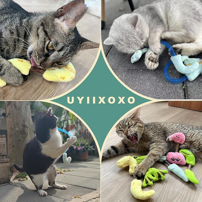Interactive Cat Toys Set, Silvervine Chew Sticks and Cat Spring Toy, Indoor Catnip Toys for Exercise and Dental Care, for Adult Cats and Kittens (10 Packs)