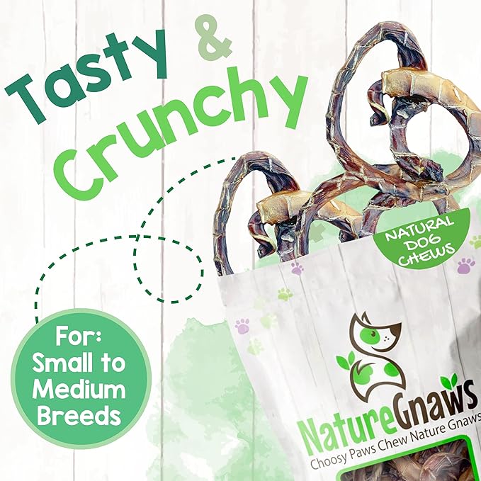 Nature Gnaws Pork Bully Stick Pretzels for Dogs 4-5" (15 Count) - Long Lasting for Light Chewers and Small Dogs - Natural Bacon Dog Chew Treats - Rawhide Free