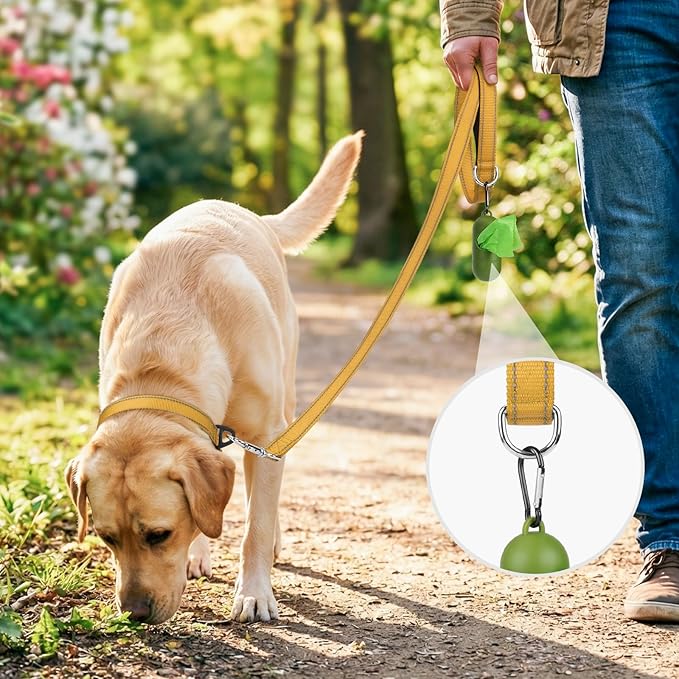 Joytale Dog Leash, 5 FT Double-Sided Reflective, Padded Handle Nylon Heavy Duty Leashes for Small Dogs Walking, Khaki
