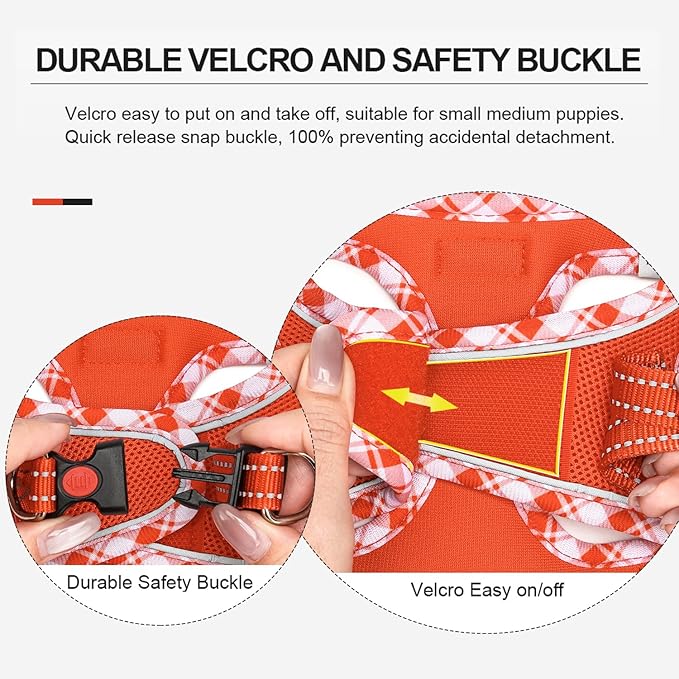 Mercano Soft Mesh Dog Harness and Leash Set, No-Chock Step-in Reflective Breathable Lightweight Easy Walk Vest Harnesses with Safety Buckle for Small Dogs, Cats (Tangerine, XXS)