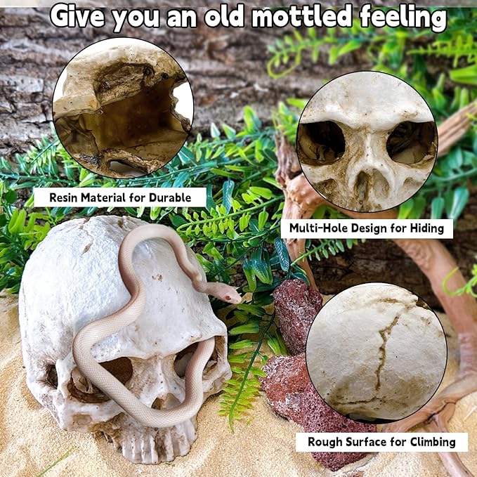 Tfwadmx Human Skull and Crocodile Skull Decor, Snake Hide, Tarantula Enclosure Accessories, Resin Skull with Vines Reptile Terrarium Tank Decor for Geckos, Lizards, Spiders
