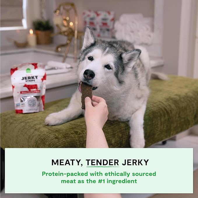 Open Farm, Dog Jerky Treats, Soft & Chewy Oven-Baked Jerky Strips Made with Ethically & Sustainably Sourced Ingredients, Protein Packed Dog Treats, Grain-Free Grass-Fed Beef Recipe, 5.6oz Pouch