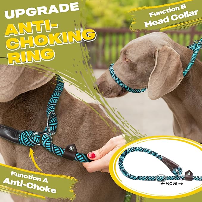 Fida Durable Slip Lead Dog Leash, 6 FT x 1/2" Heavy Duty Loop Comfortable Strong Rope Lead for Large, Medium Dogs, No Pull Pet Training with Highly Reflective, Blue