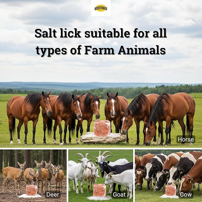 RESISTANCE Himalayan Salt Lick 2lb Block on Rope for Horses, Cattle, Deer, Goats, and Livestock – Pack of 4 Blocks