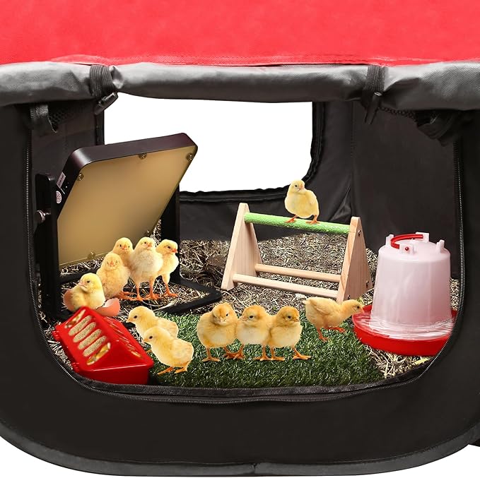 Brooder Box for Chick Starter Kit - 2025 Upgrade Dual Door Chicken Brooder Pen/Playpen/Tent with 10*10 in Brooder Heating Plate,Nesting Pad,Chicks Feeder＆Waterer,Chick Perch Up to 15 Chicks,Duck,Quail