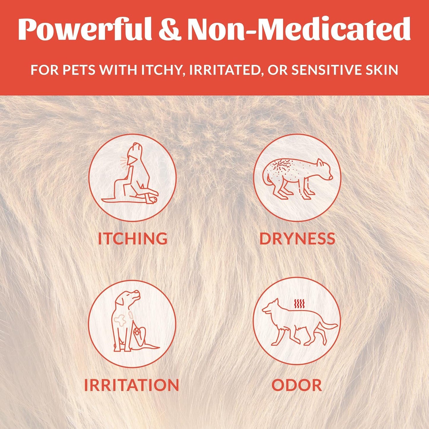 SKOUT'S HONOR Probiotic Itch Relief Spray for Pets - Non-Medicated, Fragrance-Free, Natural, Vegan, Long-Lasting Relief, with Soothing Aloe & Avocado Oil, 8 oz, 2-Pack