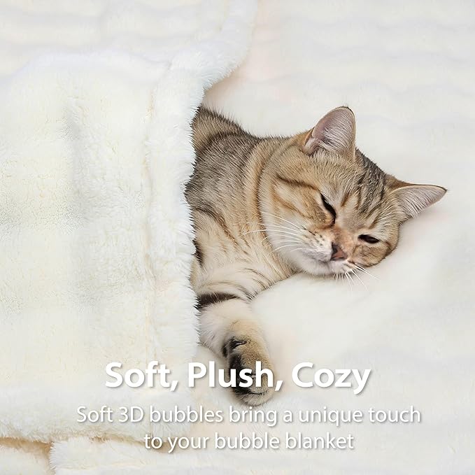 Dog Blankets Washable Pet Blanket - Fluffy Fuzzy Cat Puppy Blanket with Premium 300GSM 3D Fleece Bubble for Pet Kitten Doggy, Cream, 60x80IN