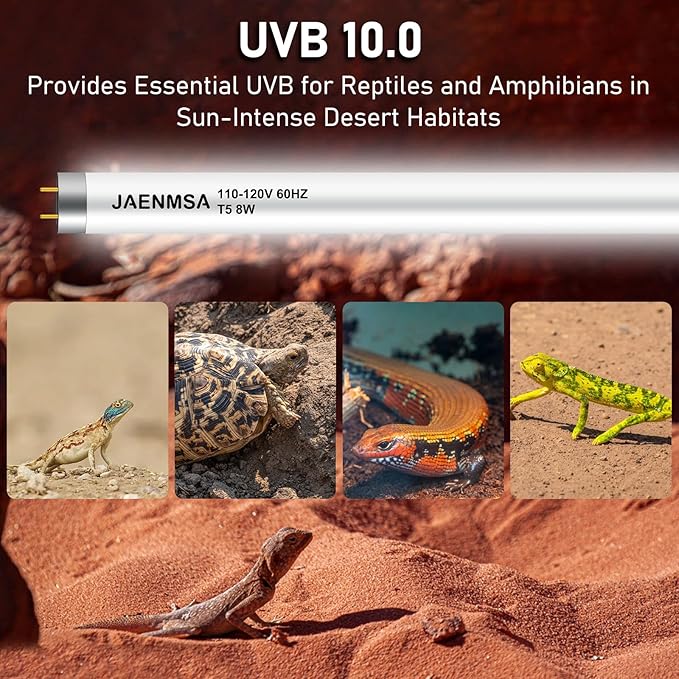 T5 10.0 UVB Reptile Light Bulbs 8W, UVA UVB HO Light Bar Bulbs 12 Inch for Reptiles,Bearded Dragon, Leopard Gecko,Tortoise,Reptile & Amphibian Replacement Tube Lamp 2 Pack