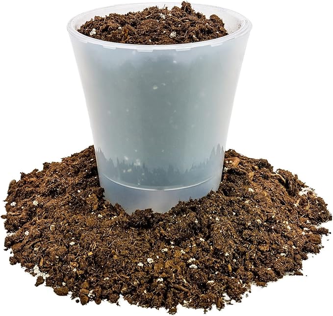 GARDENERA Money Tree Potting Soil Mix for Planting or Repotting Guiana Chestnut, Soil Blended to Properly Grow Money Tree Plants (2 Quart Bag)