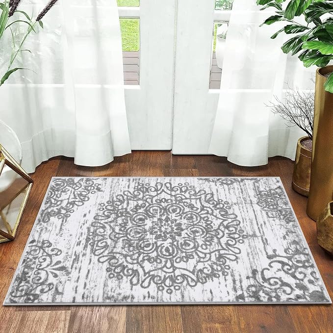 HEBE Indoor Door Mat 2'x3', Washable Distressed Boho Small Area Rug, Non Slip