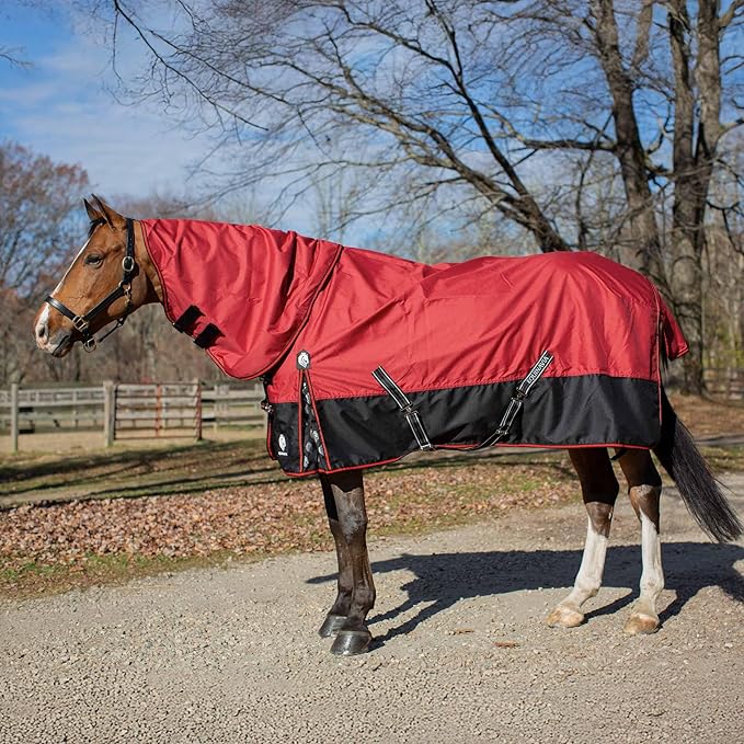 Equinavia Norse Lightweight 100g Fill Horse Rain Blanket | Waterproof Turnout Sheet - Black - 66 in - Equestrian Red - 66 in
