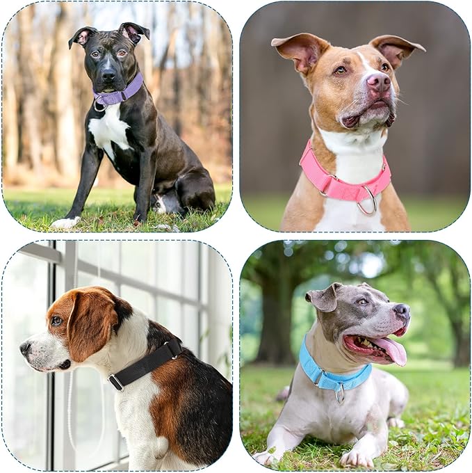 Cunno 12 Pcs Martingale Collar for Medium Dogs Reflective Dog Collar with Durable Metal Buckle Adjustable Nylon Pet Prevent Slipping Out for Pupplies, 12 Colors(Medium)