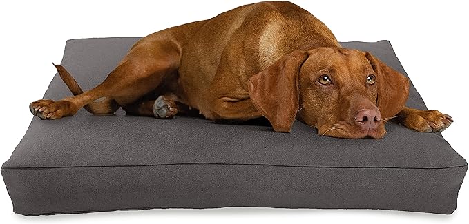 X-Small -24 x 18 x 4 - Shadow Gray Premium Organic Hemp Dog Bed - Organic Latex Fill - Removeable Cover